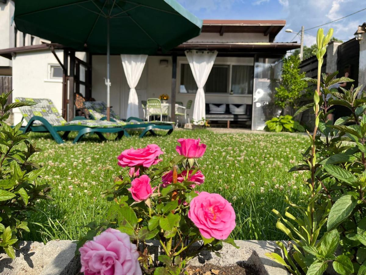 Charmante Petite Maison Transylvanie Villa Săcele Esterno foto